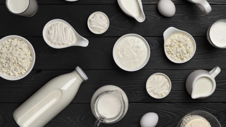 milchprodukte-b2b-stage